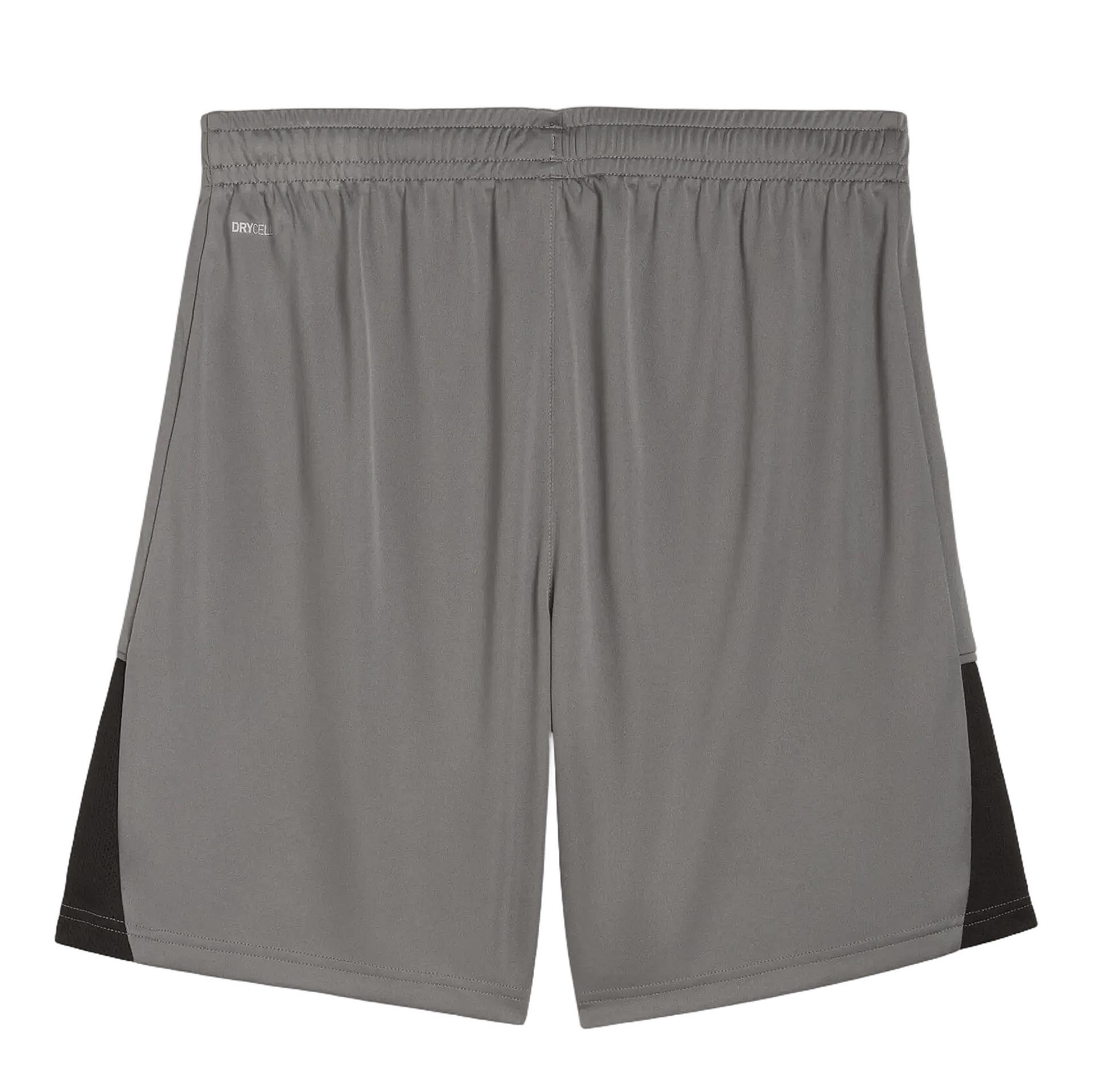 PUMA TeamLIGA26 Shorts Grau – Rückansicht