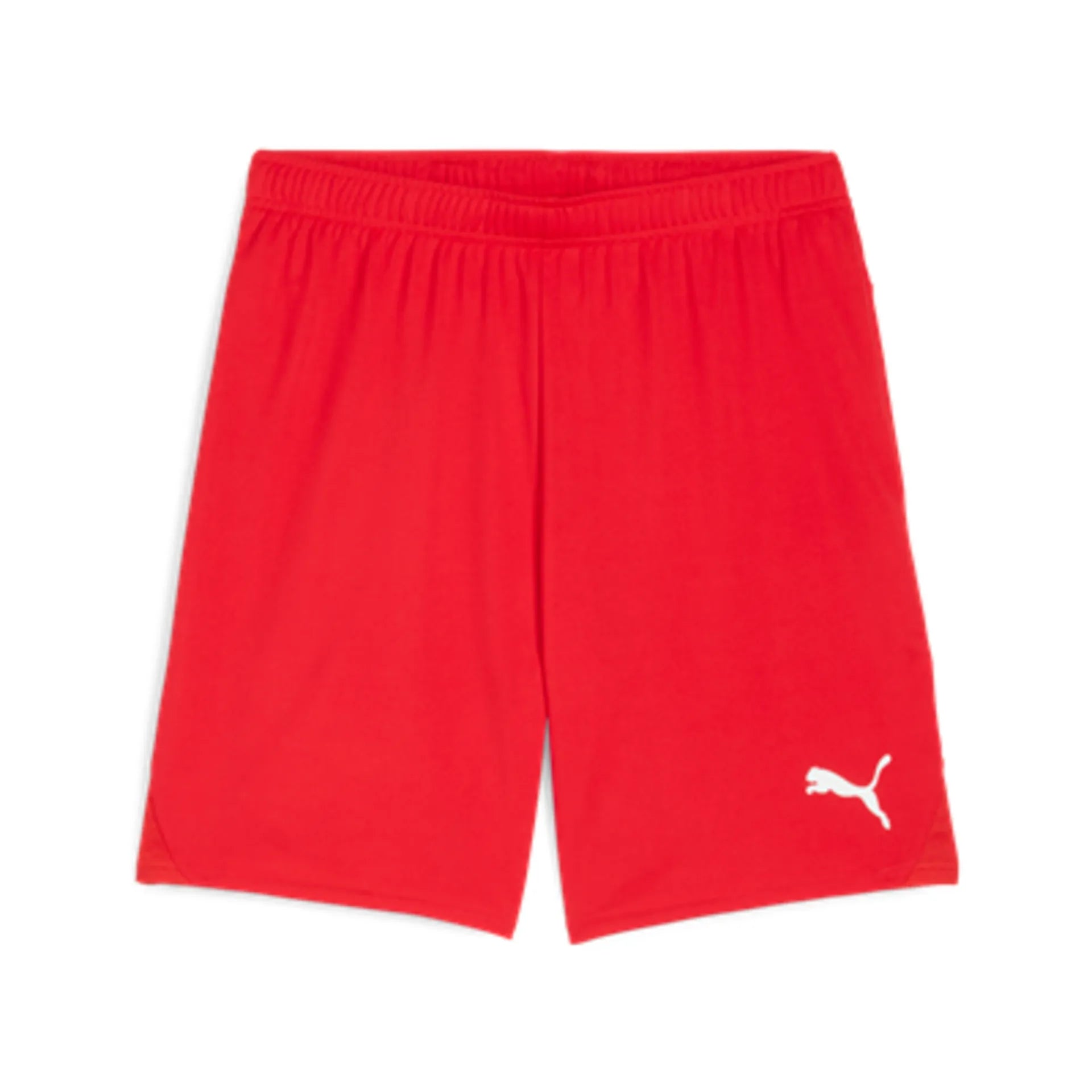 PUMA teamGOAL Shorts Rot