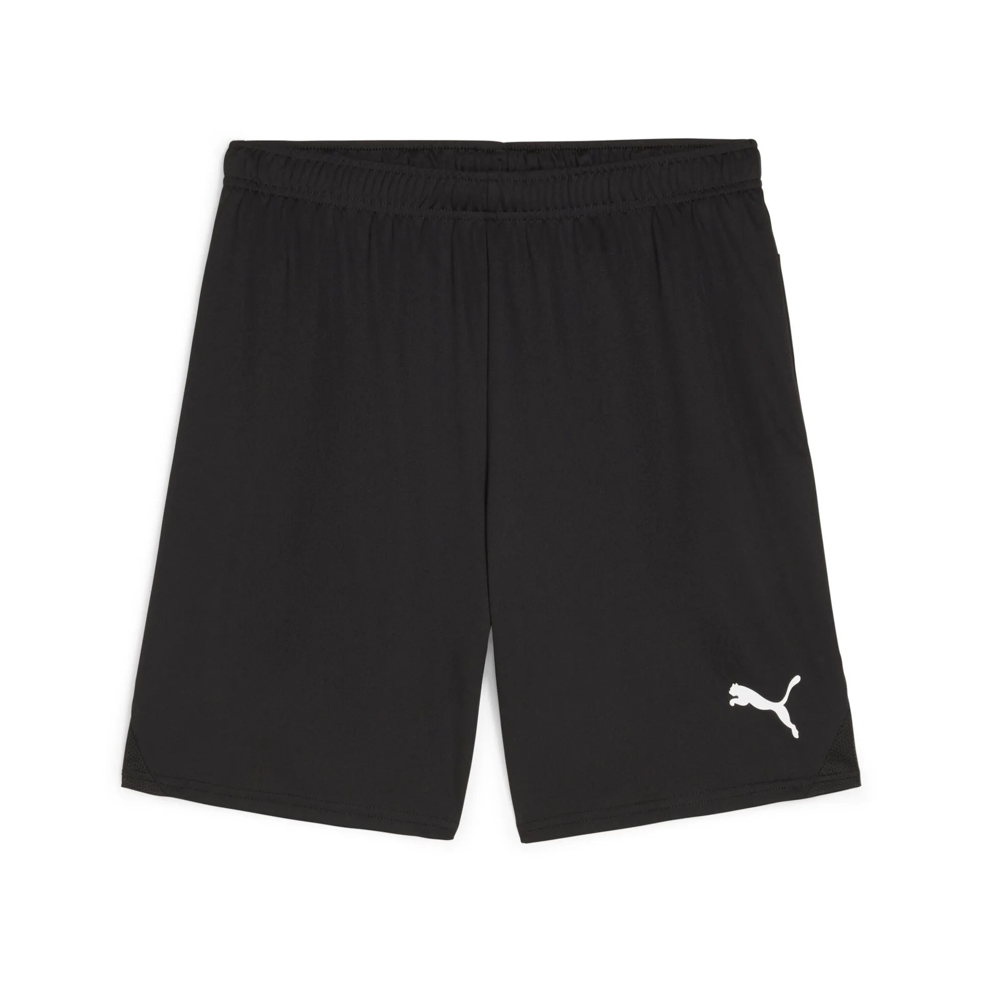 PUMA teamGOAL Shorts Schwarz