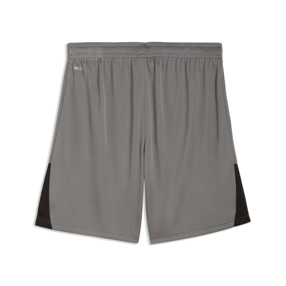 PUMA teamLIGA 26 Shorts Grau