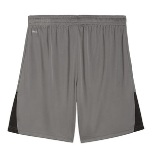 PUMA TeamLIGA26 Shorts Grau – Rückansicht