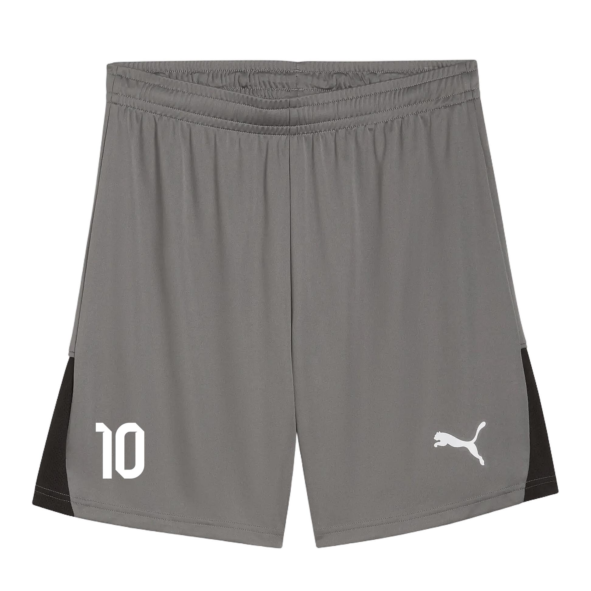 PUMA TeamLIGA26 Shorts Grau – Vorderansicht