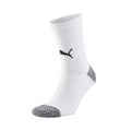 PUMA teamLIGA Training Socks