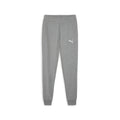 PUMA teamGOAL Casuals Pants