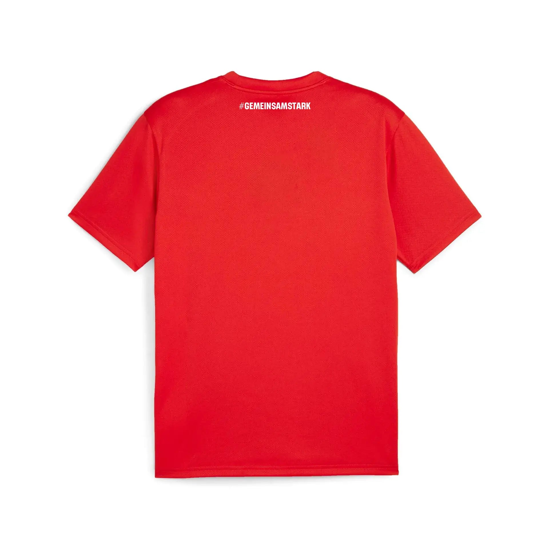 PUMA teamGOAL TW Trikot Rot