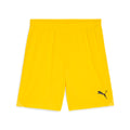 PUMA teamGOAL Shorts Gelb