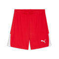 PUMA teamLIGA 26 Shorts Rot