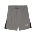PUMA teamLIGA 26 Shorts Grau