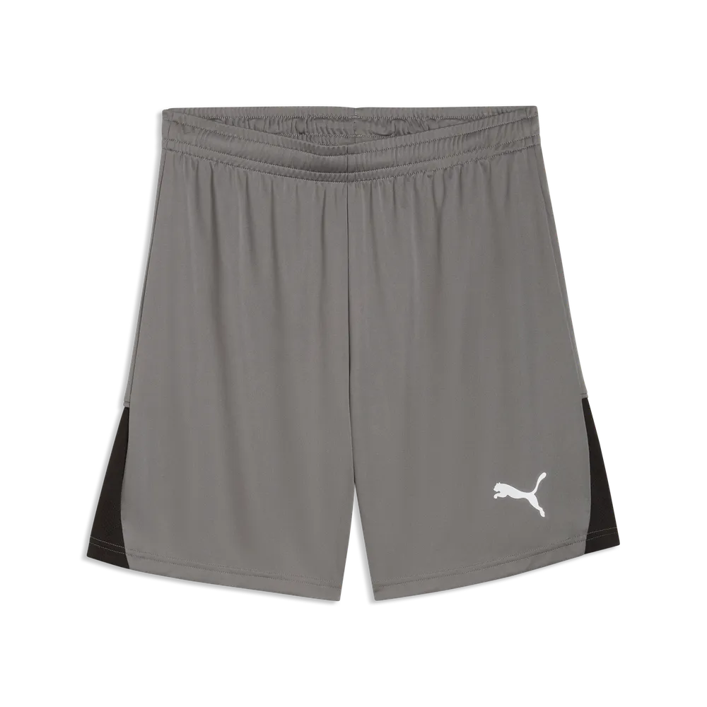 PUMA teamLIGA 26 Shorts Grau